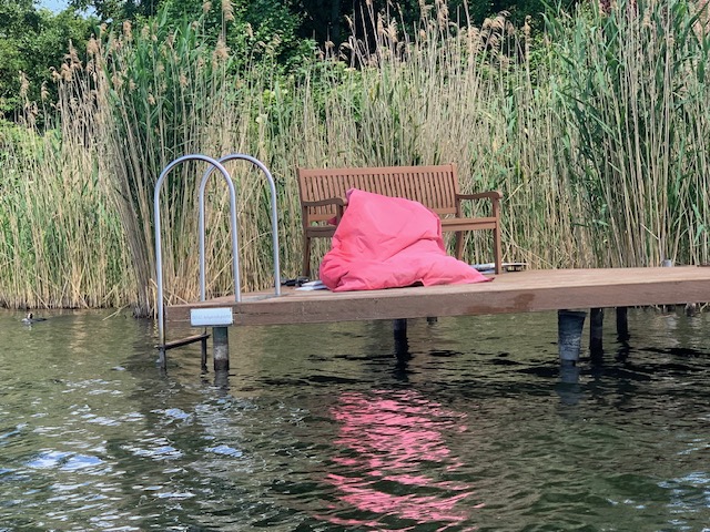 Eine Holzbank und ein rosa Sitzsack stehen auf einem von hohem Schilf und Wasser umgebenen Steg. Eine Metallleiter führt ins Wasser.